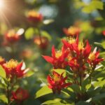 Sunlit red flowers with green leaves background.