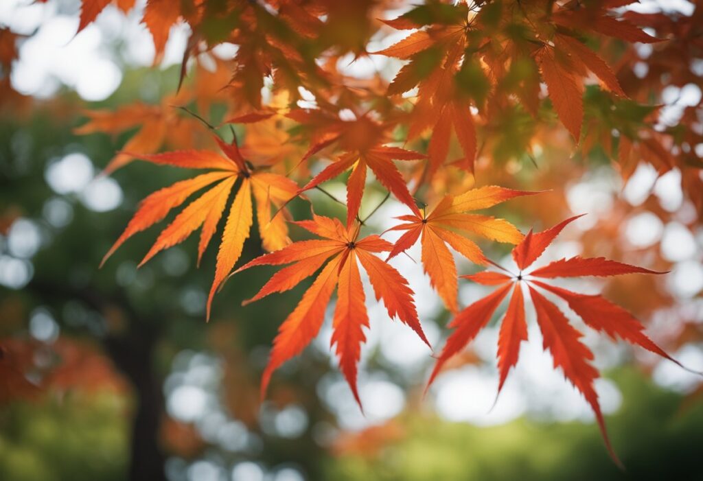 Vibrant autumn maple leaves in sunlight.