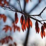 Backlit red leaves on winter branch, soft focus background.